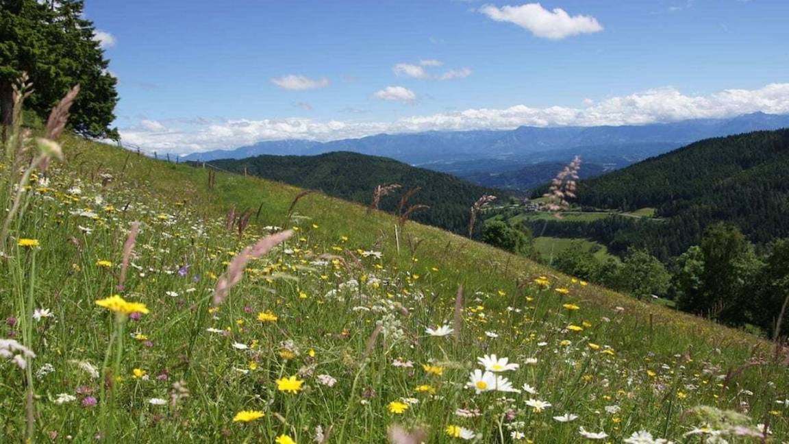 43 M² Ferienhaus ∙ 1 Schlafzimmer ∙ 4 Gäste - Kärnten