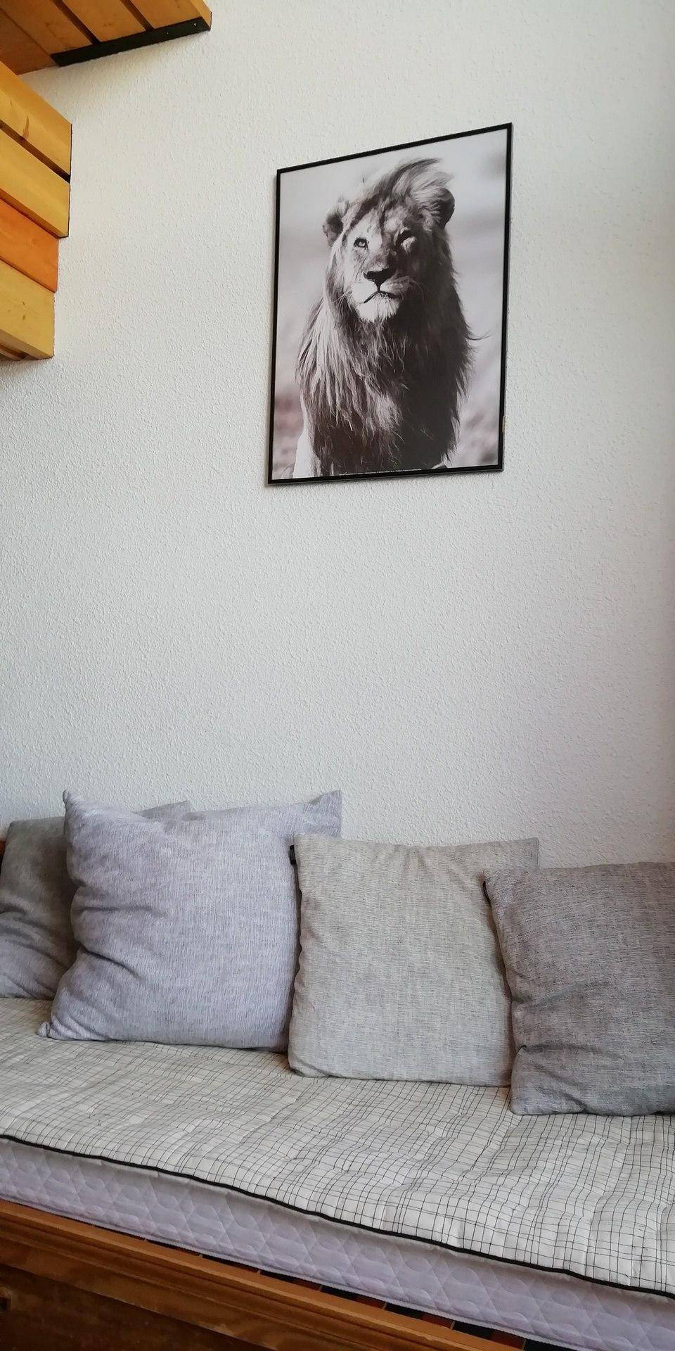 foto33