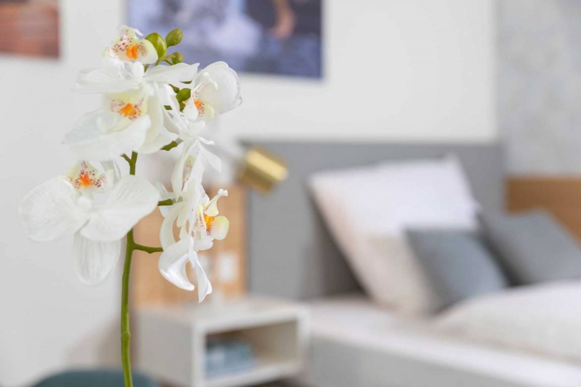 27 m² Ferienwohnung ∙ 1 Schlafzimmer ∙ 2 Gäste – Bild 6