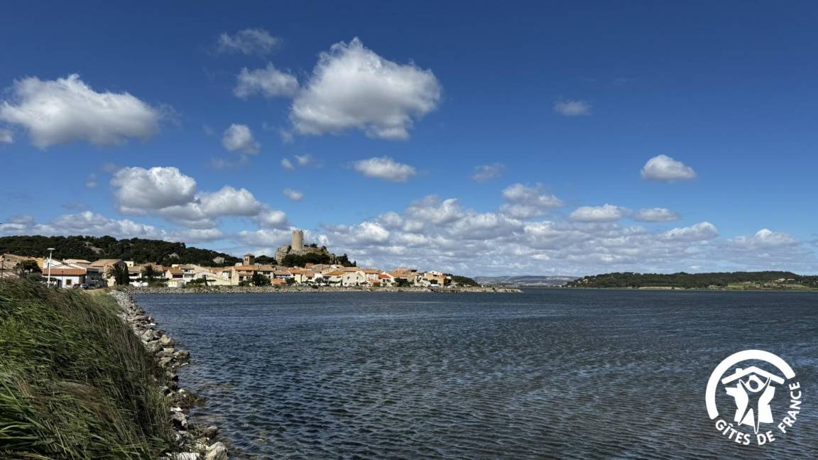 foto1