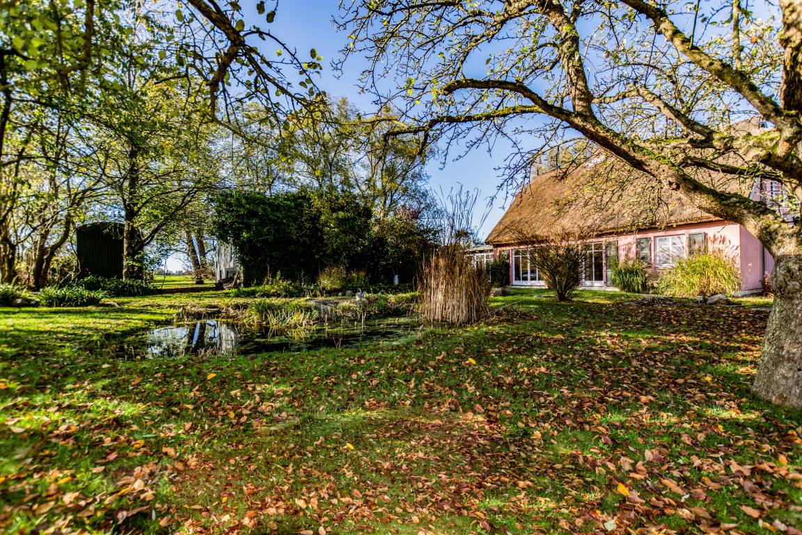65 m² Ferienwohnung ∙ 1 Schlafzimmer ∙ 3 Gäste – Bild 3