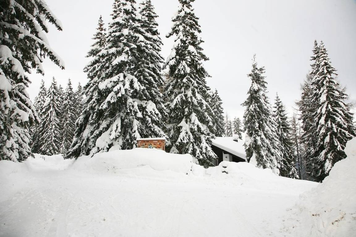 foto2