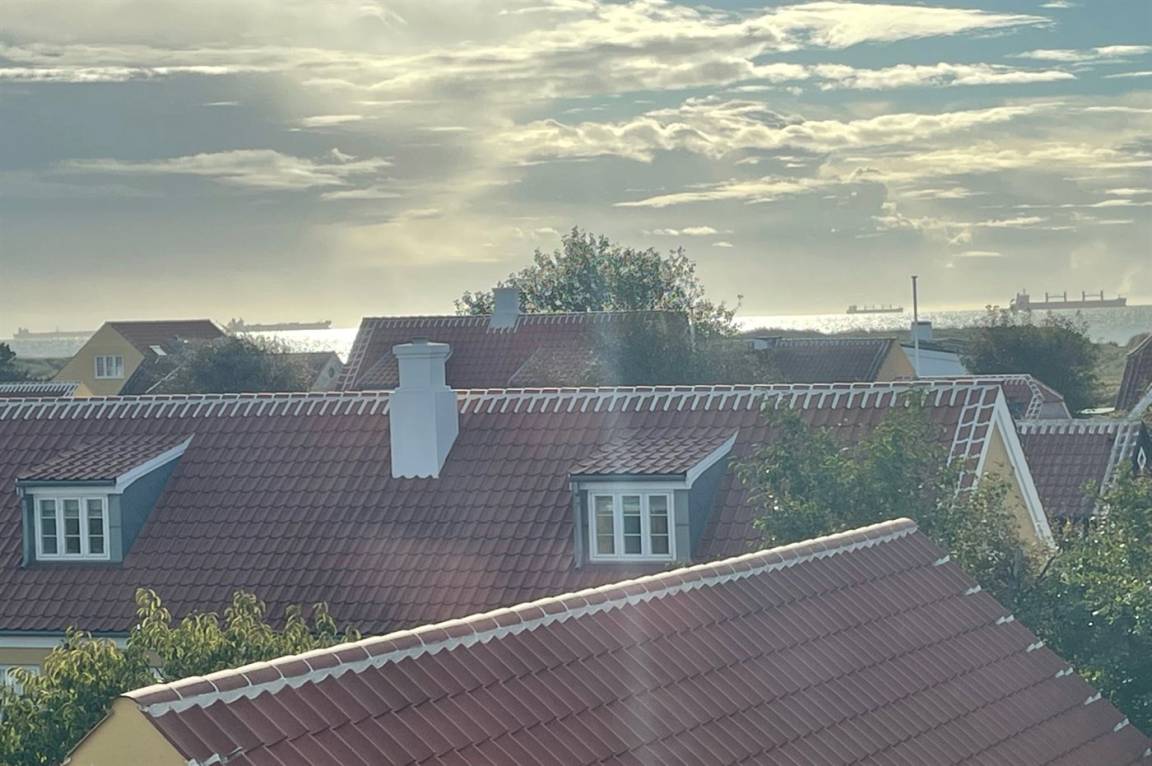 foto26
