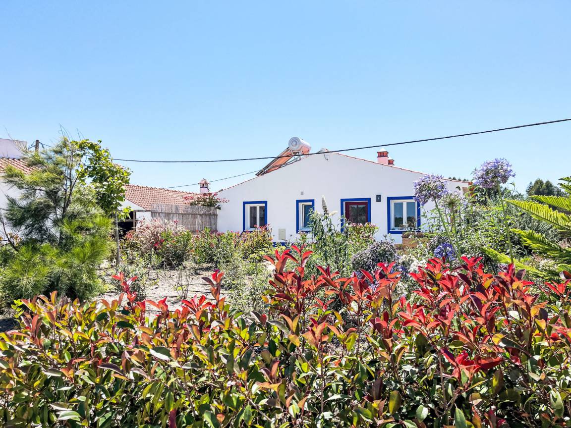 50 M² House ∙ 1 Bedroom ∙ 2 Guests - Odeceixe