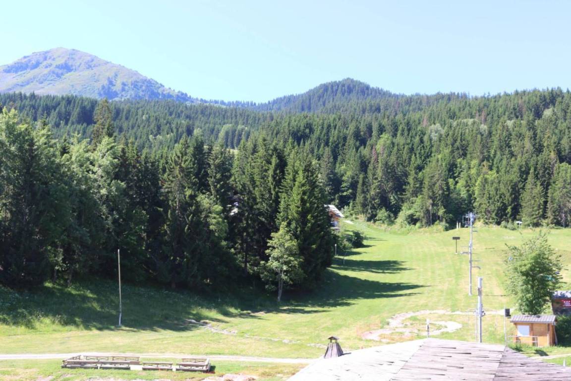 foto15