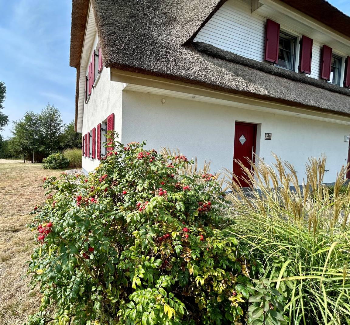 88 m² Ferienhaus ∙ 2 Schlafzimmer ∙ 4 Gäste – Bild 6