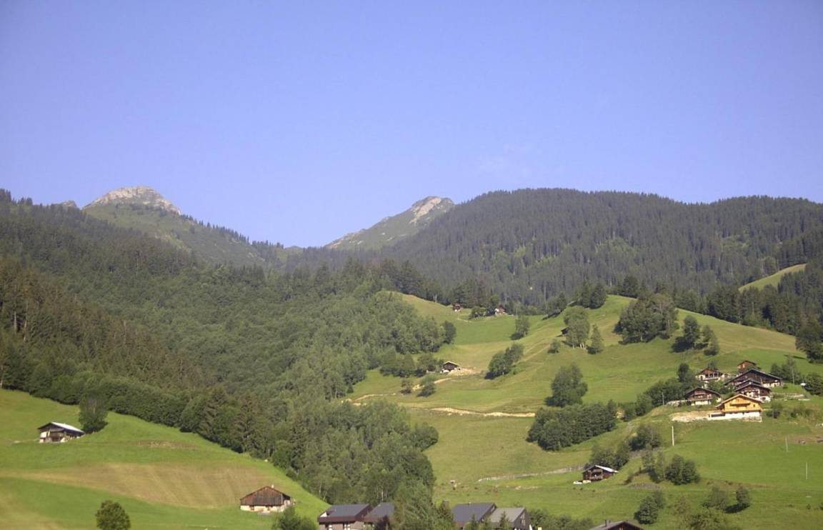 foto11