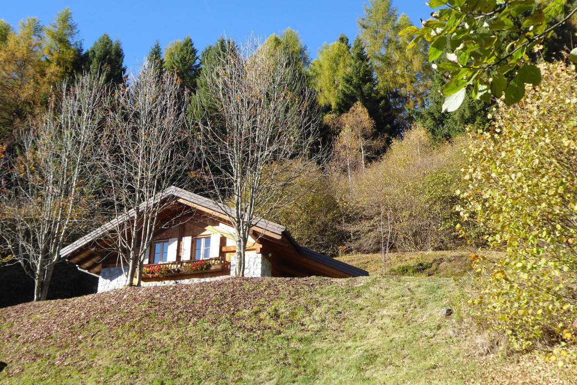 foto35