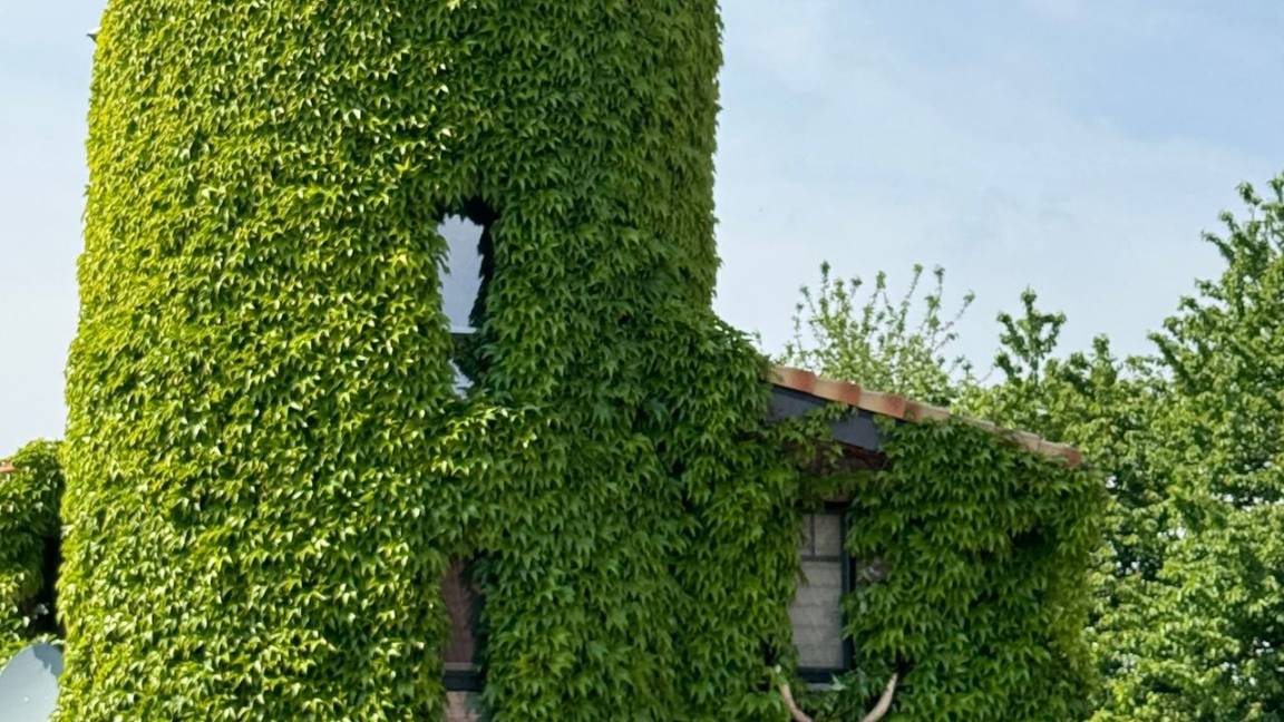 80 M² Ferienhaus ∙ 1 Schlafzimmer ∙ 4 Gäste - Moers