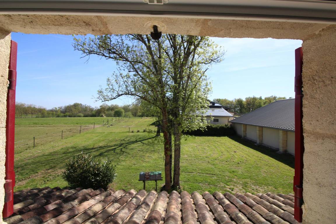 foto13