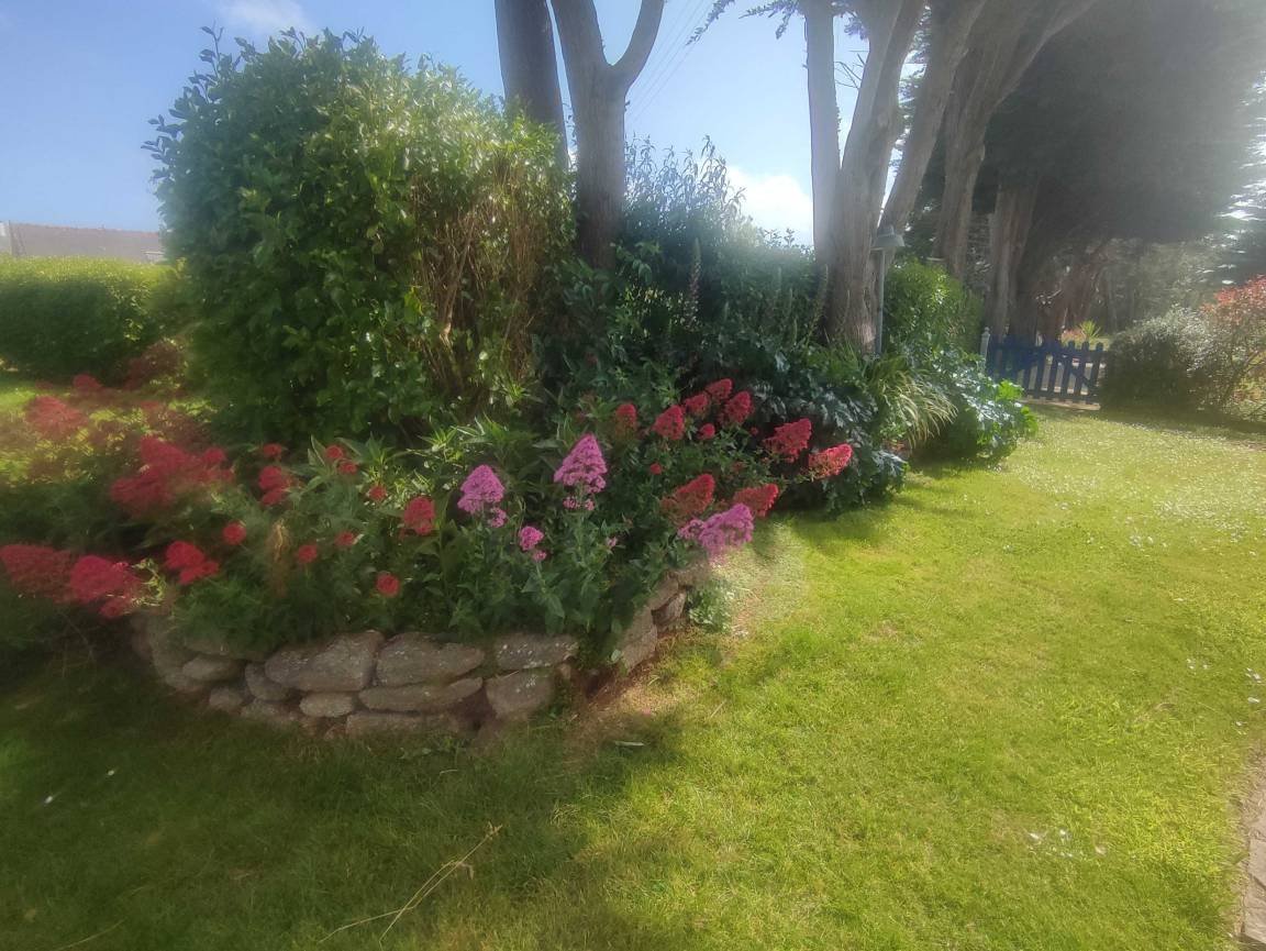 foto14