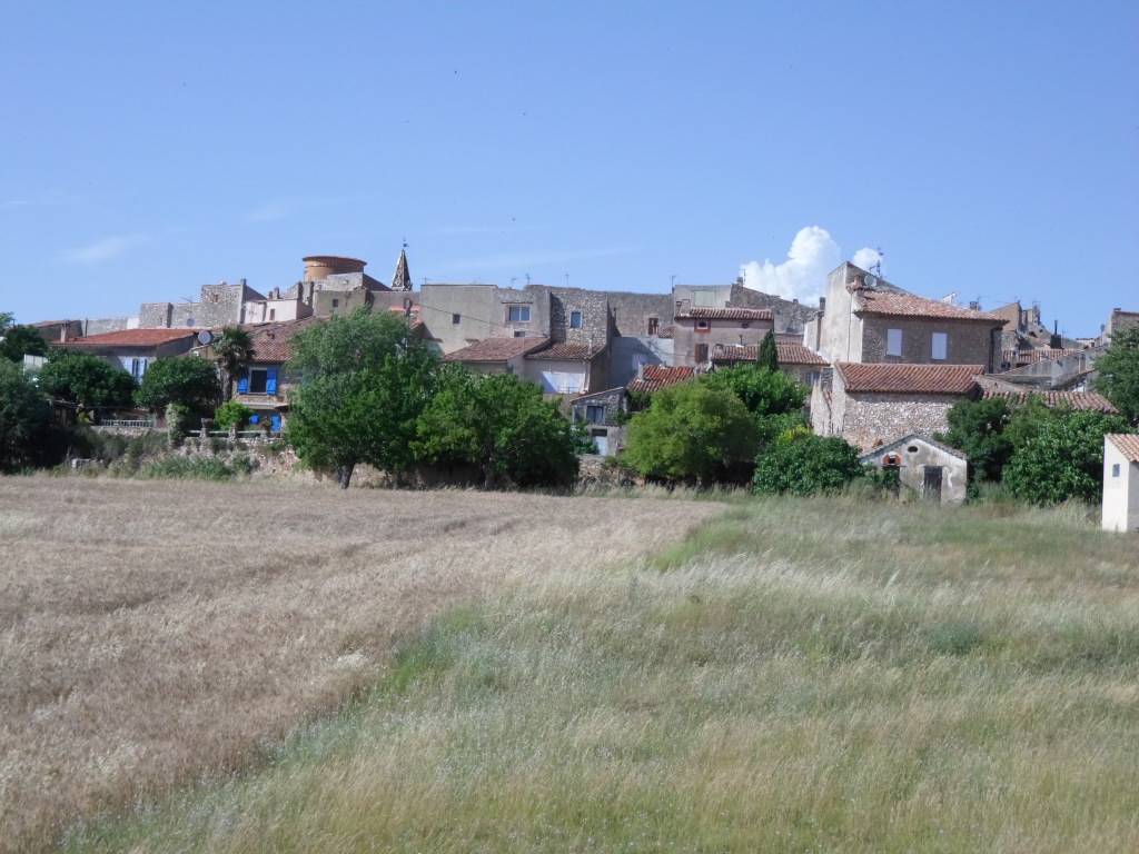 foto42