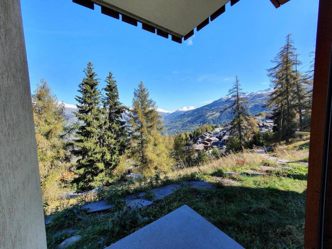 foto11