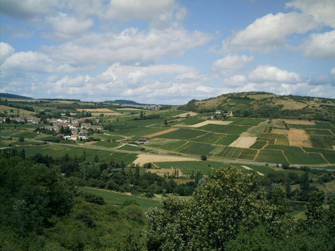 foto10