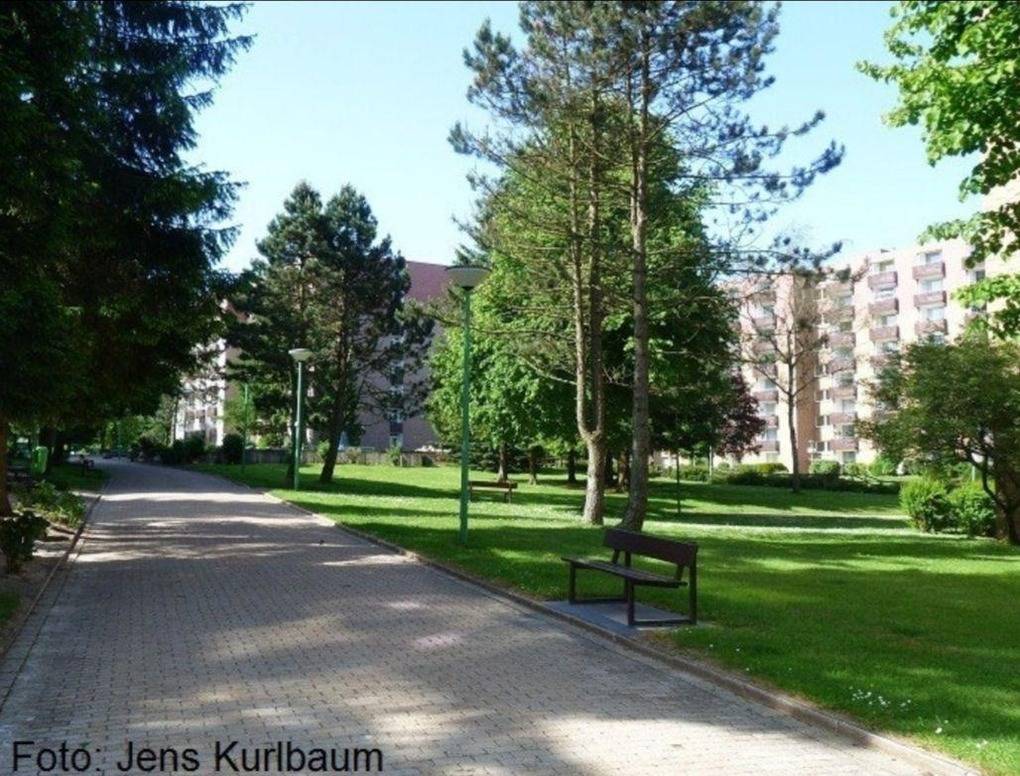 foto10