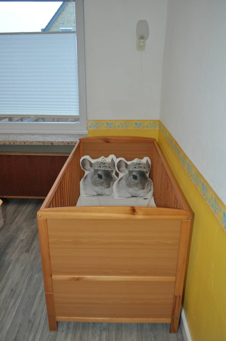 foto15