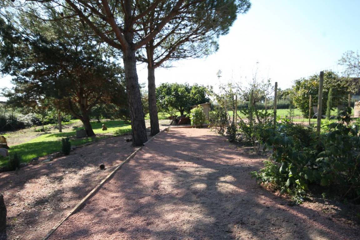 foto4