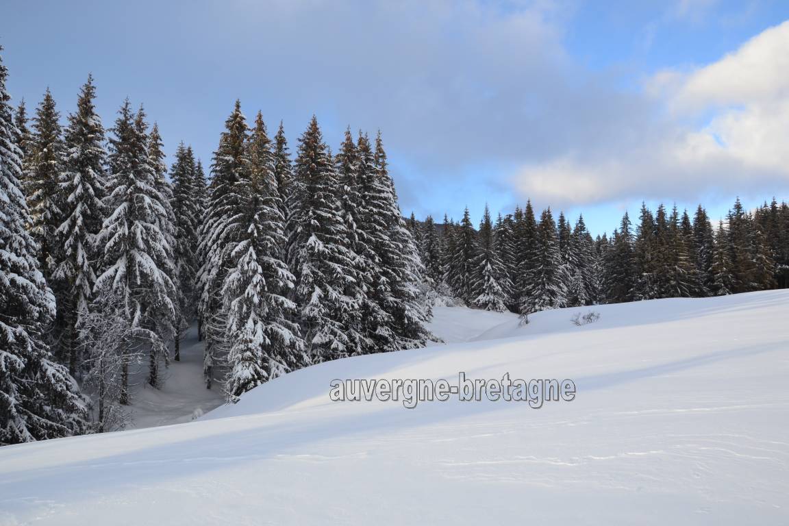 40 M² Gîte ∙ 1 Chambre ∙ 4 Personnes - Lac Pavin