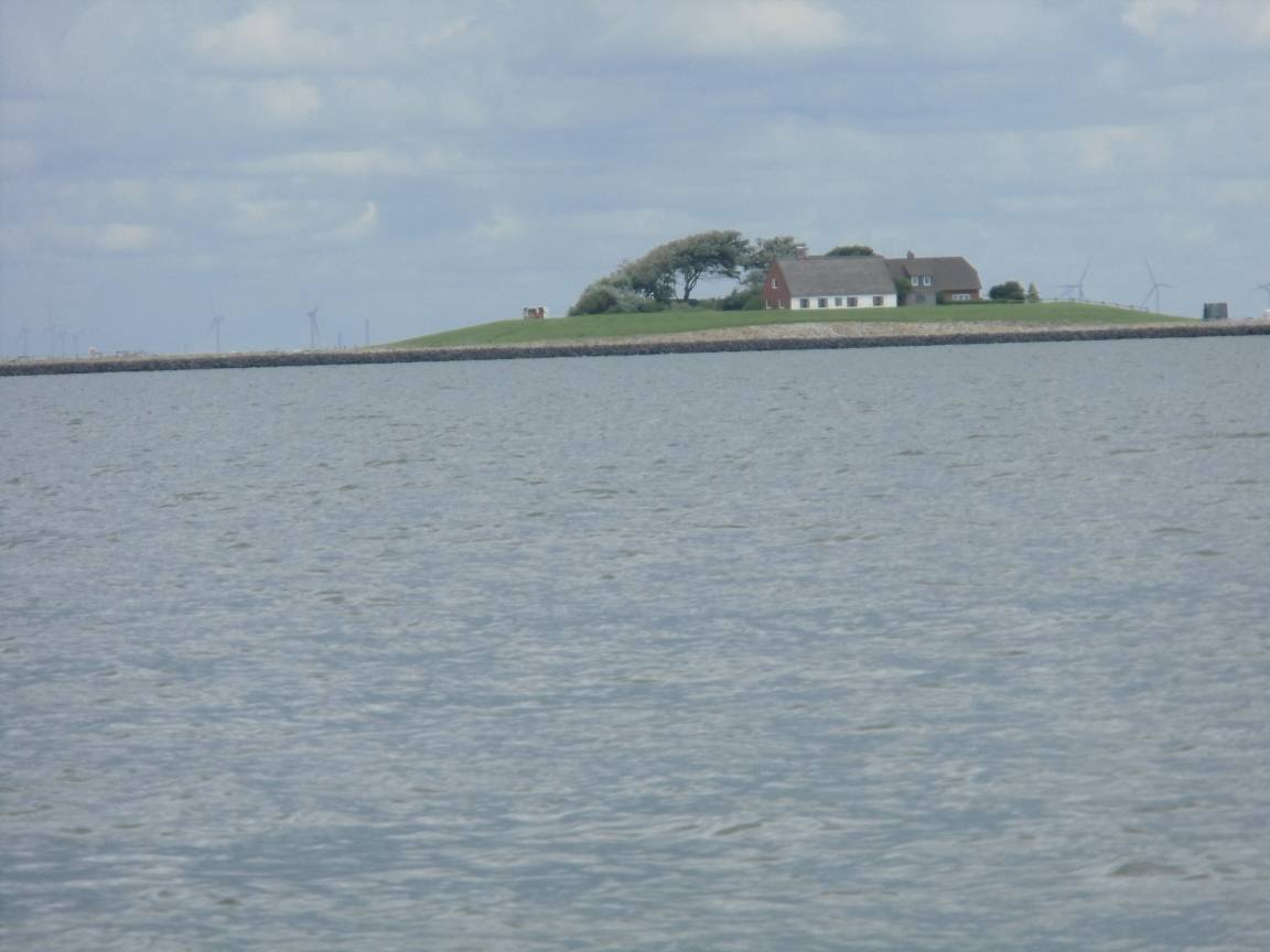 foto15