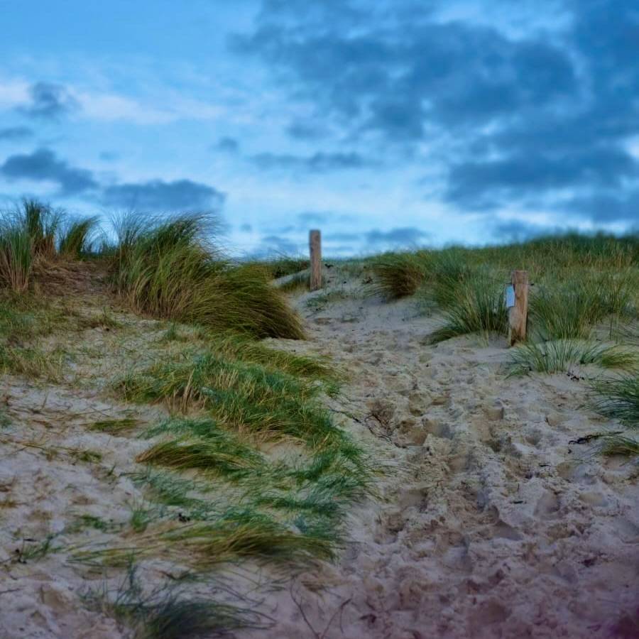 foto26