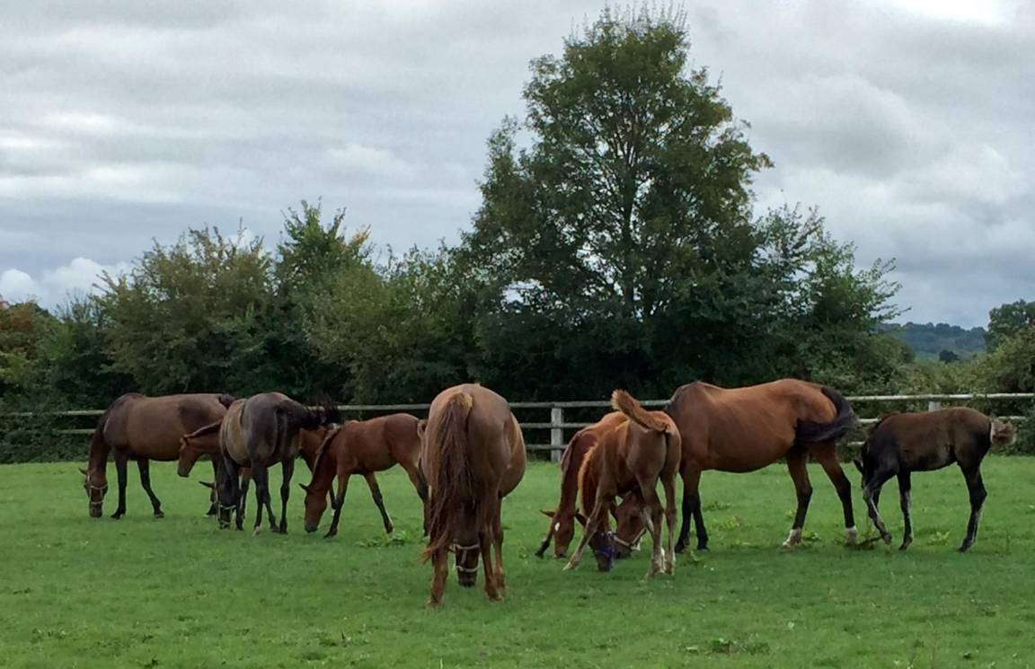 foto22