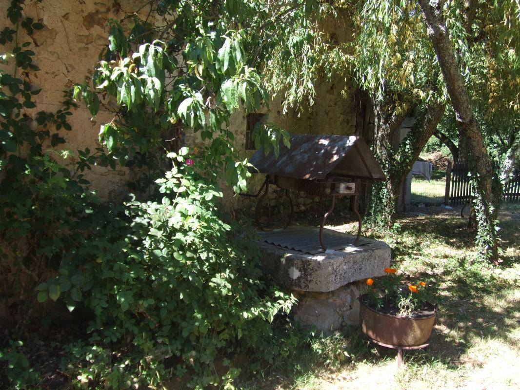 foto6