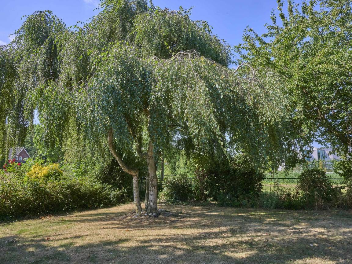 foto44