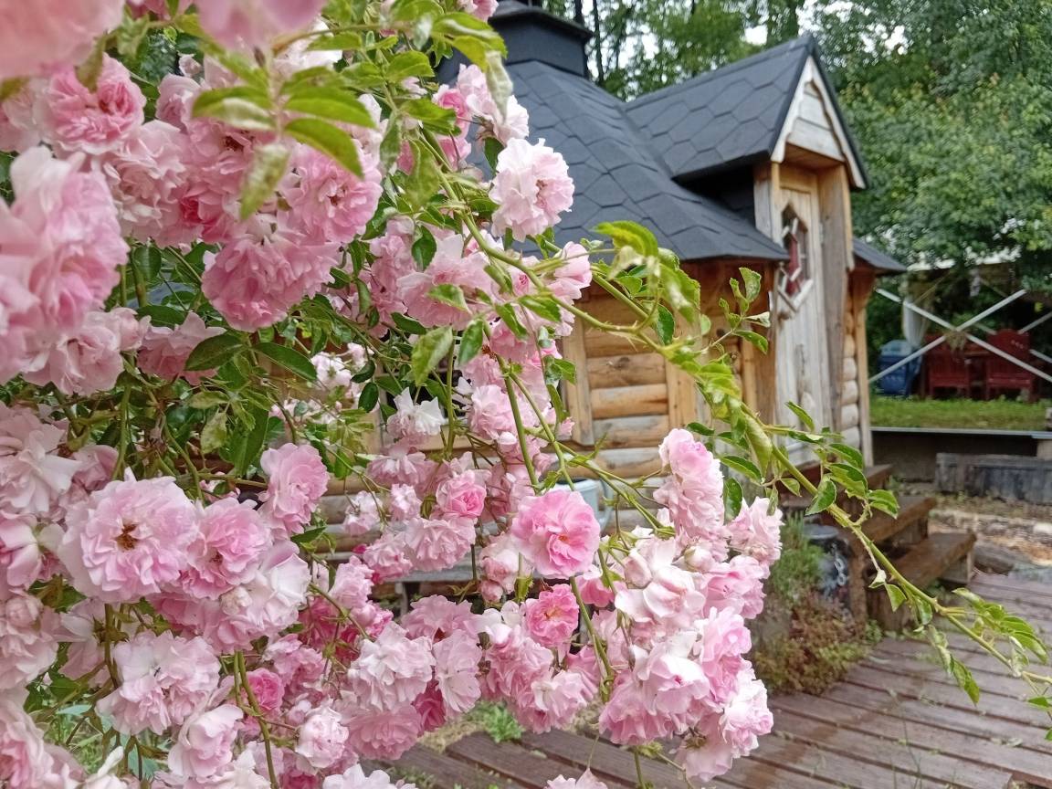 Chalet ∙ 1 Chambre ∙ 4 Personnes - Pipriac