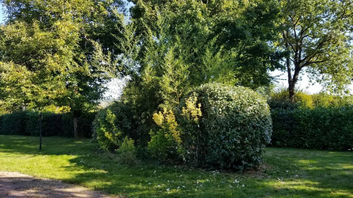 foto40