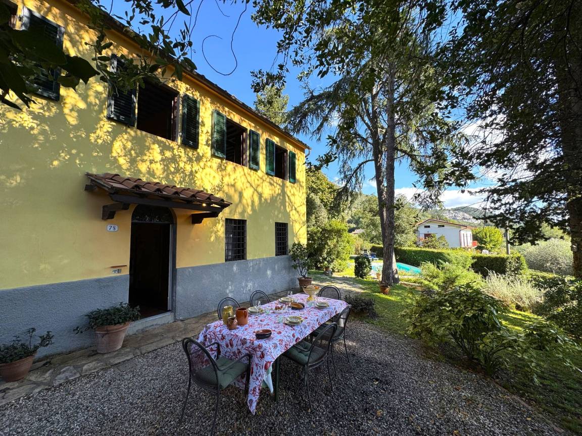 foto1