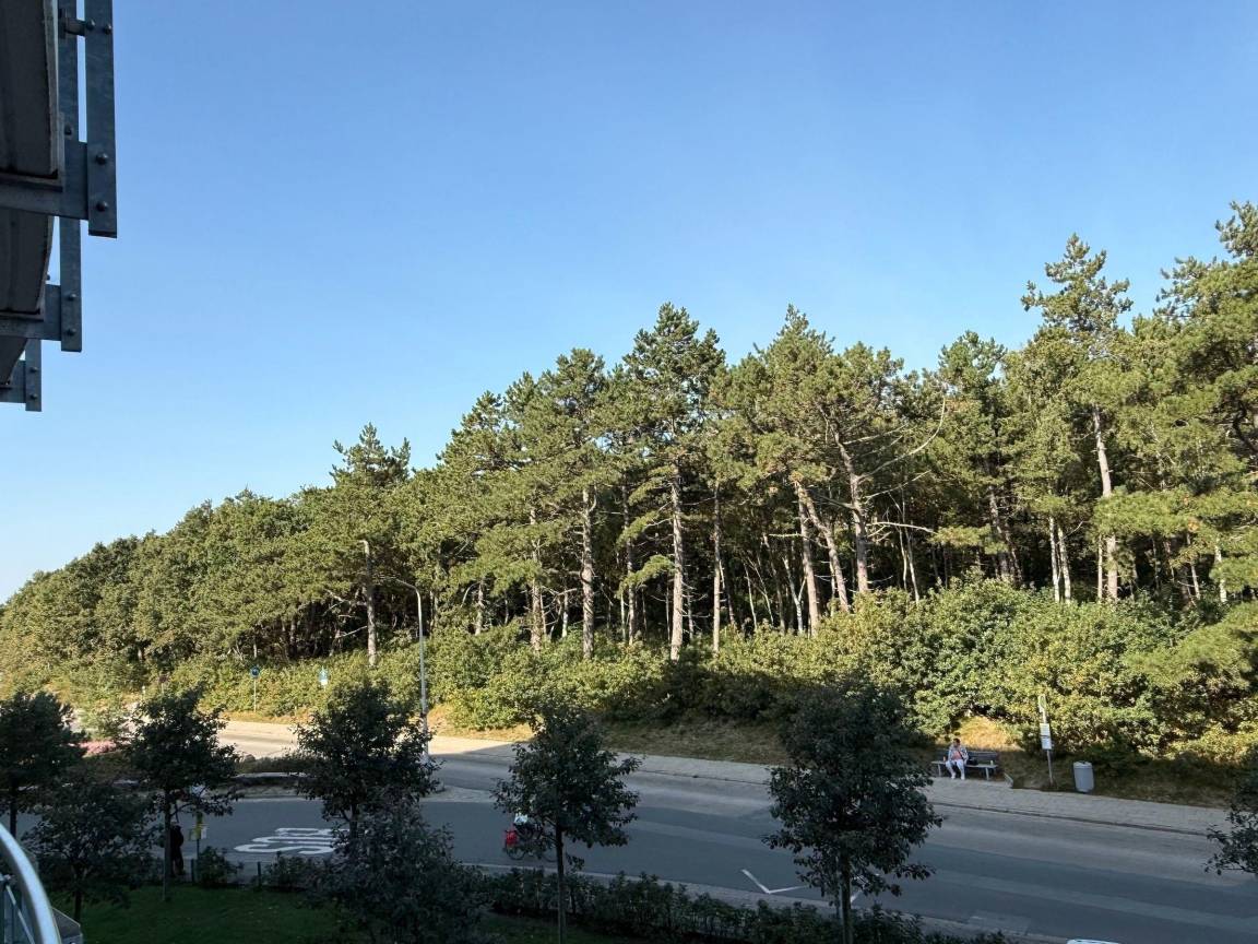 foto15