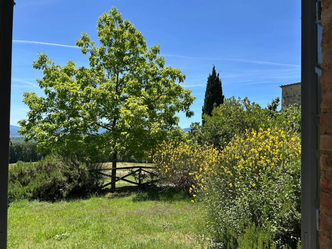 foto4