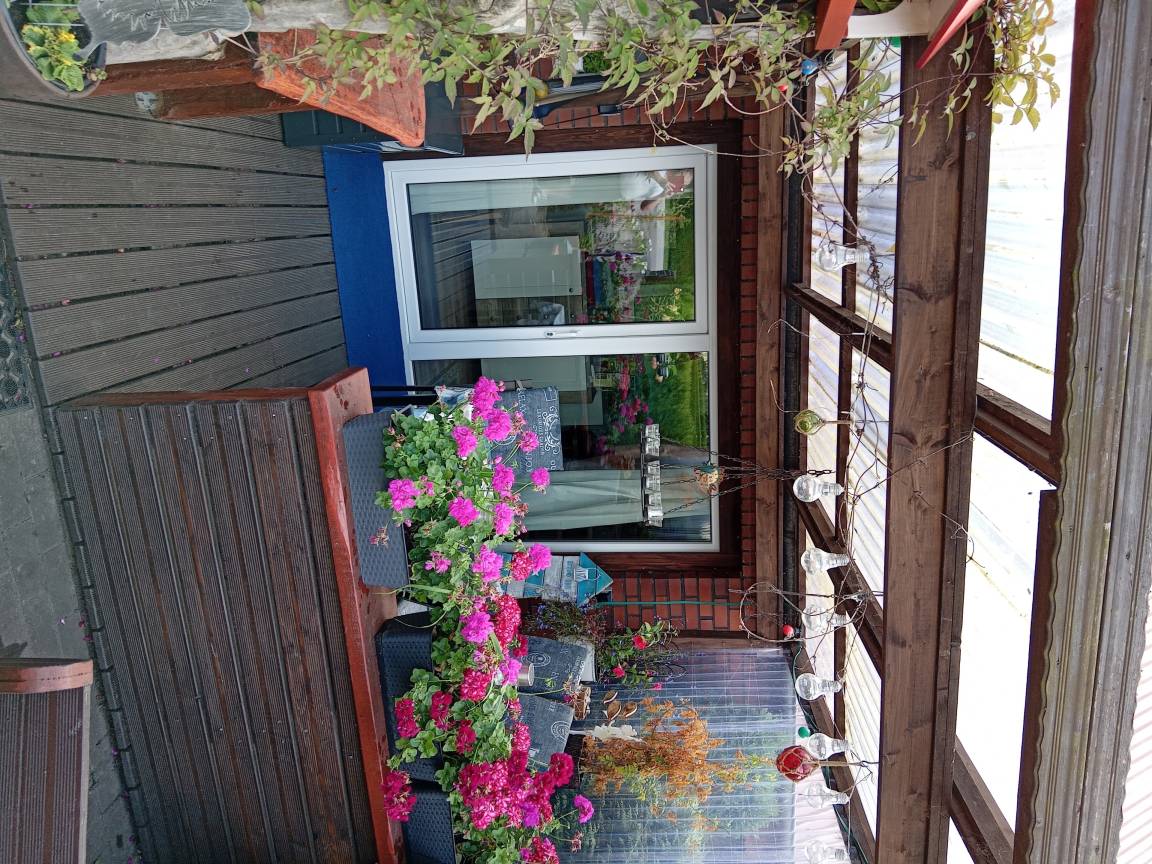 foto2