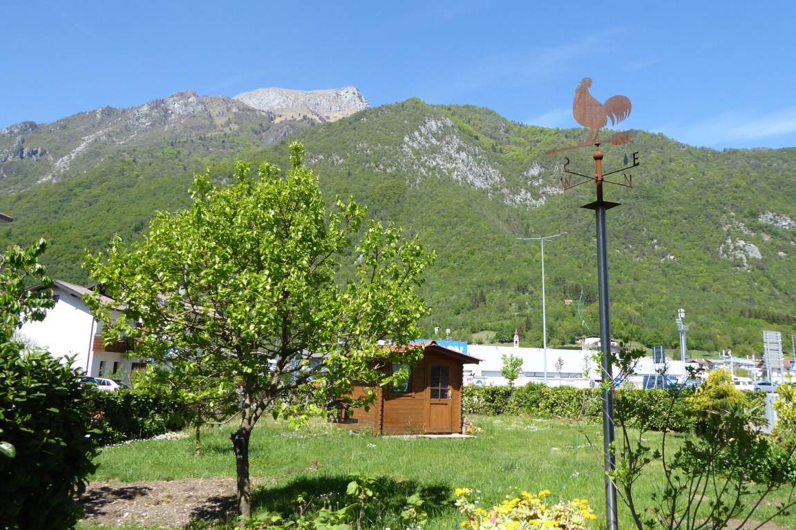 foto8