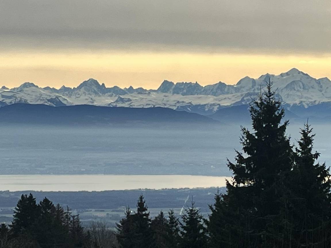 foto44