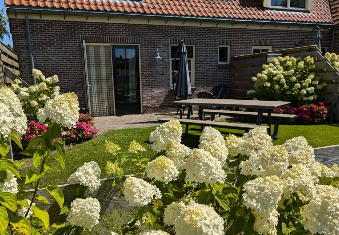 Ferienhaus ∙ 1 Schlafzimmer ∙ 4 Gäste - Julianadorp