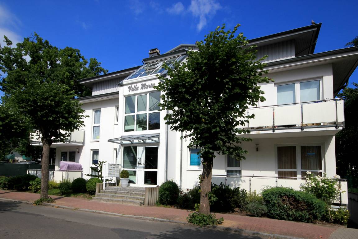 foto1