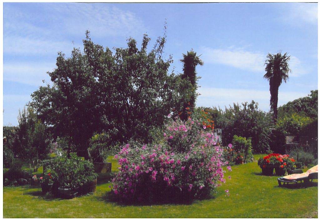 foto21