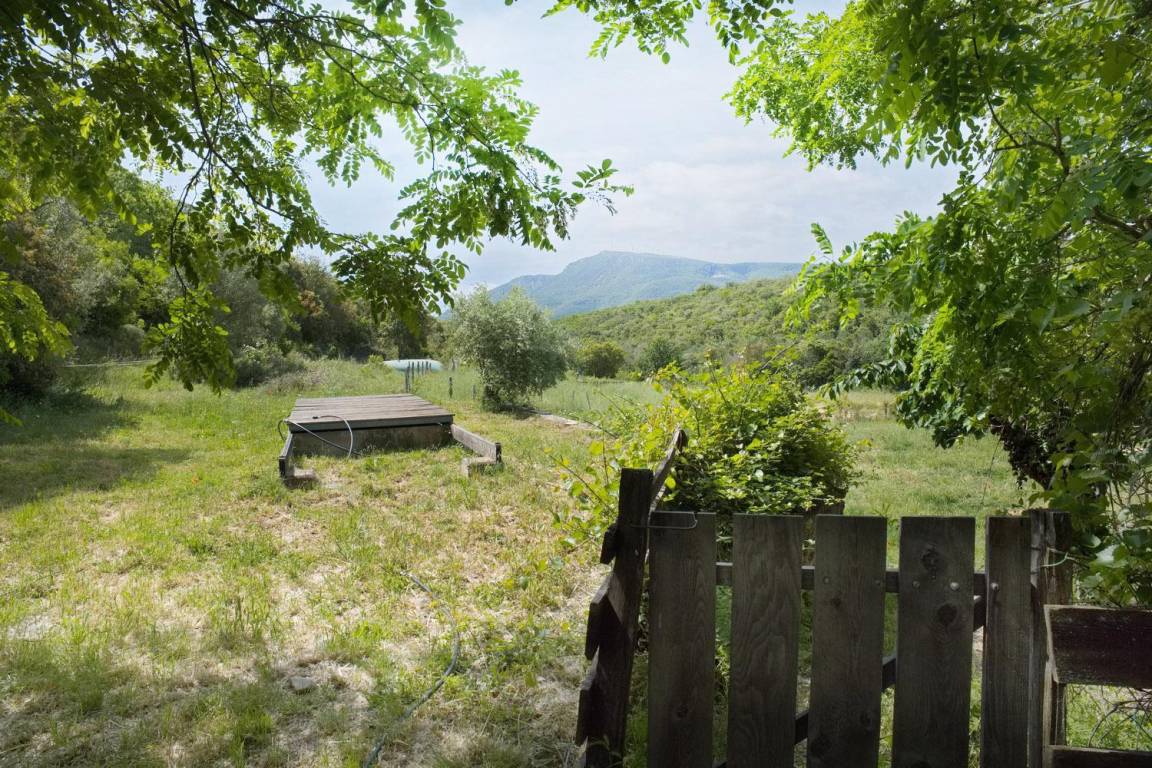 foto37