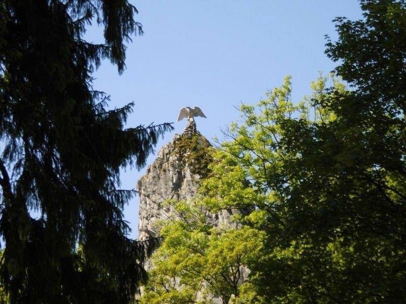 foto22