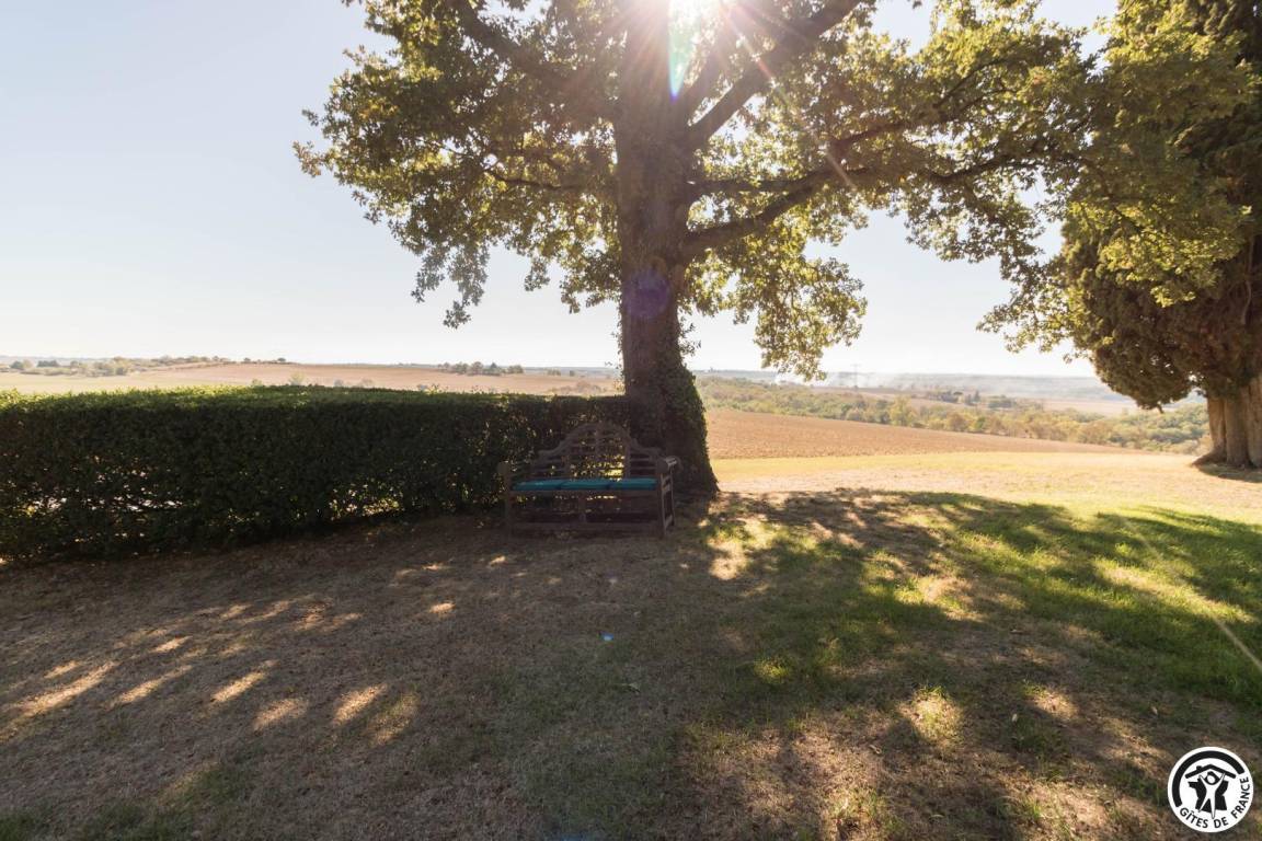 foto46