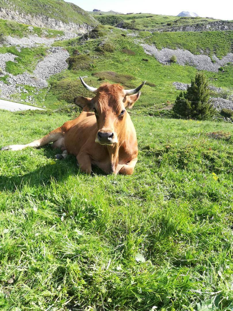 foto42