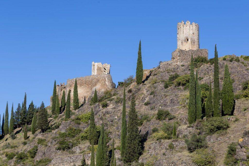 foto40
