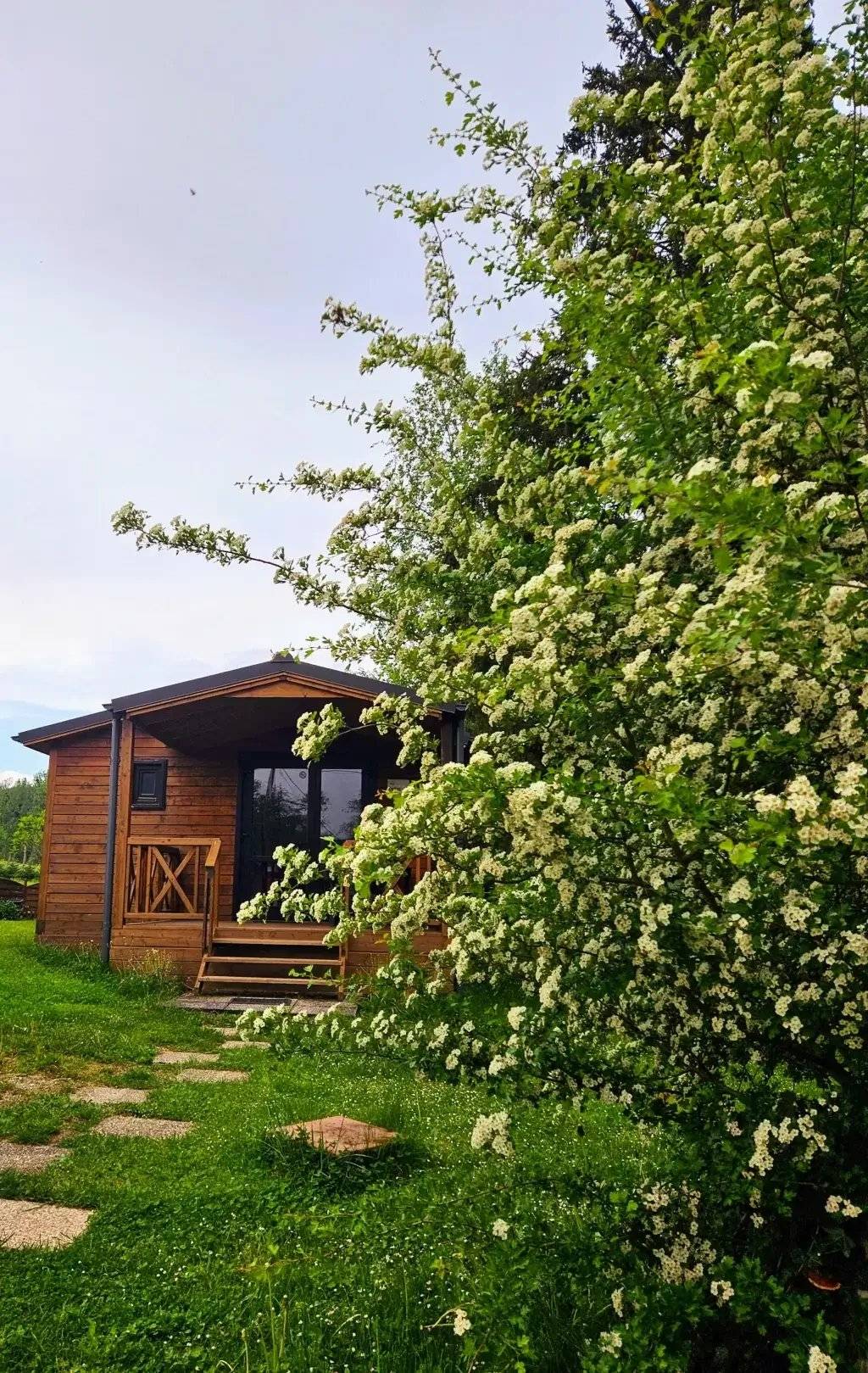 30 M² Chalet ∙ 2 Schlafzimmer ∙ 5 Gäste - Elsass