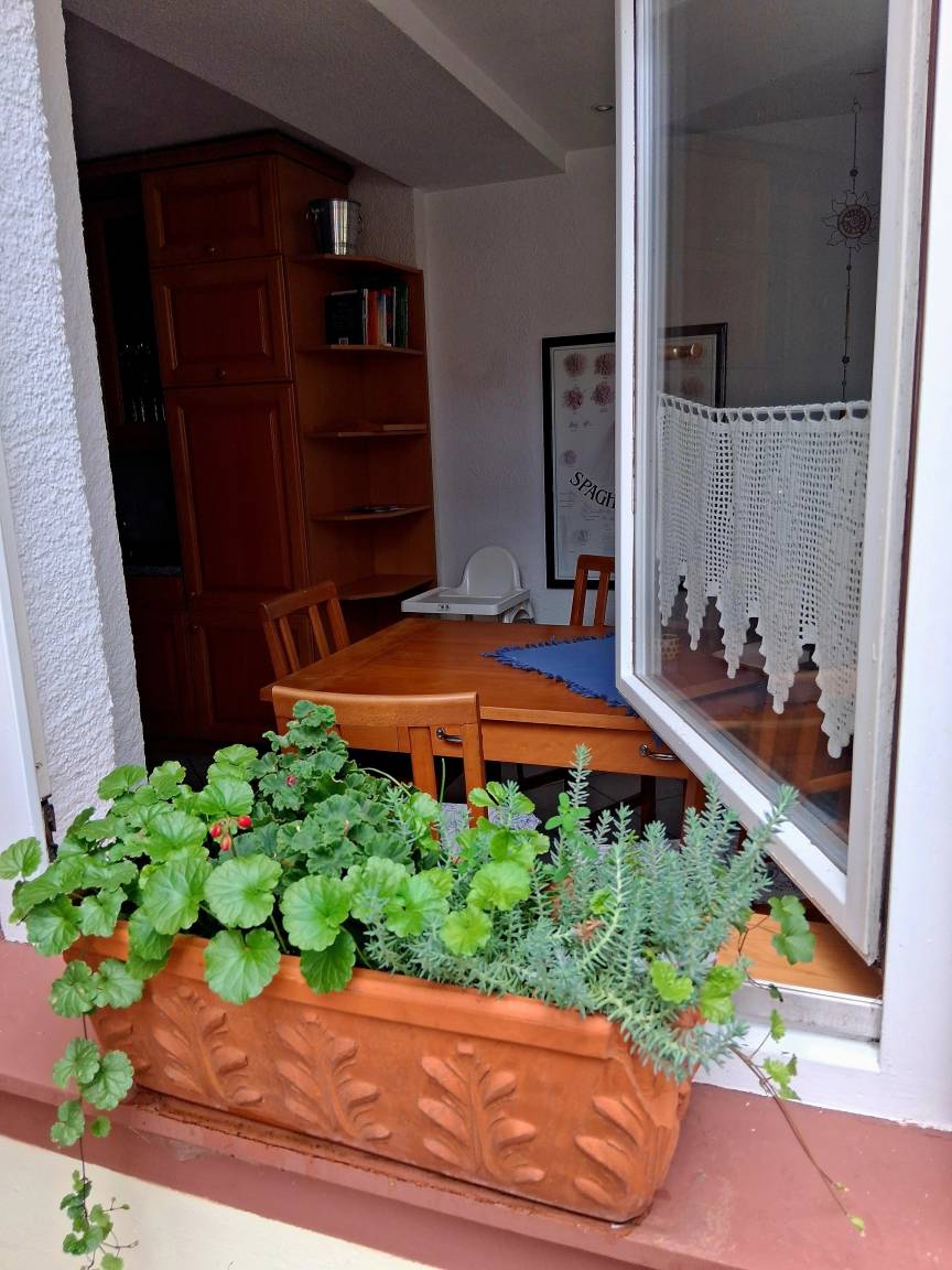 foto27