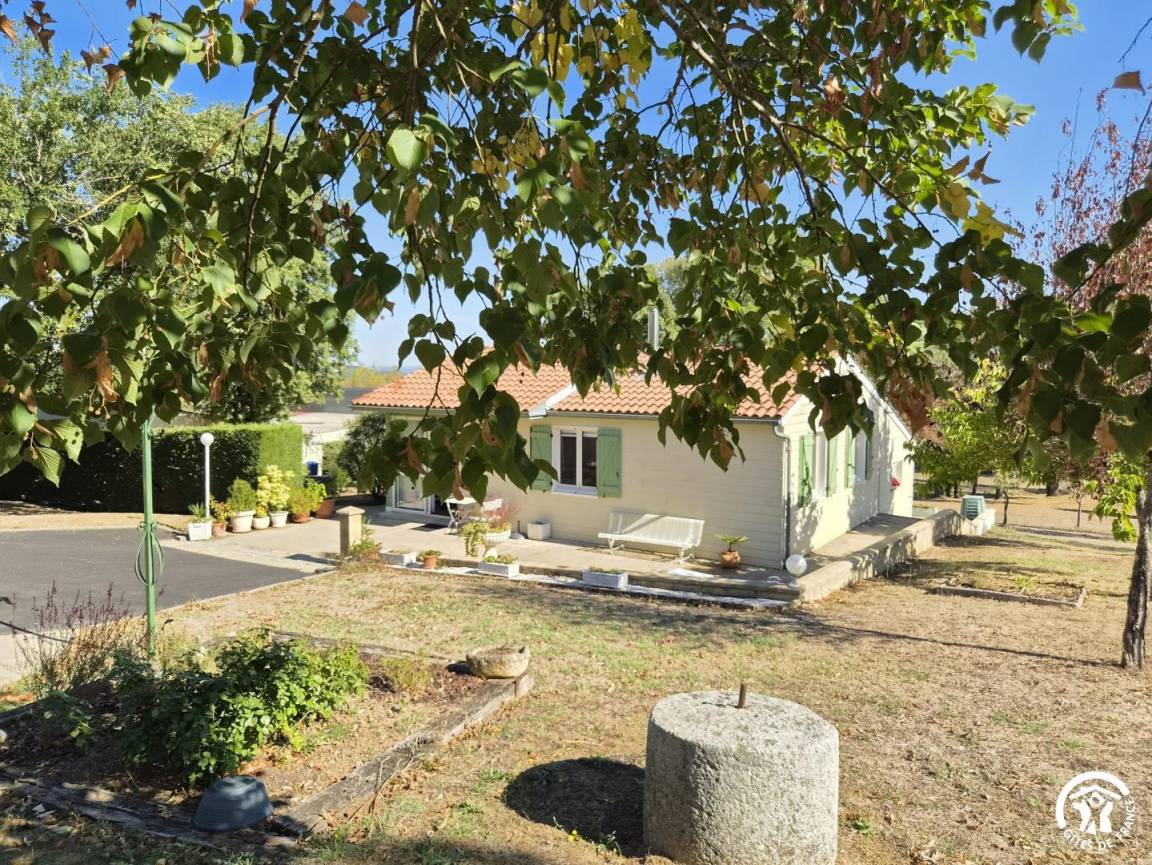 foto1