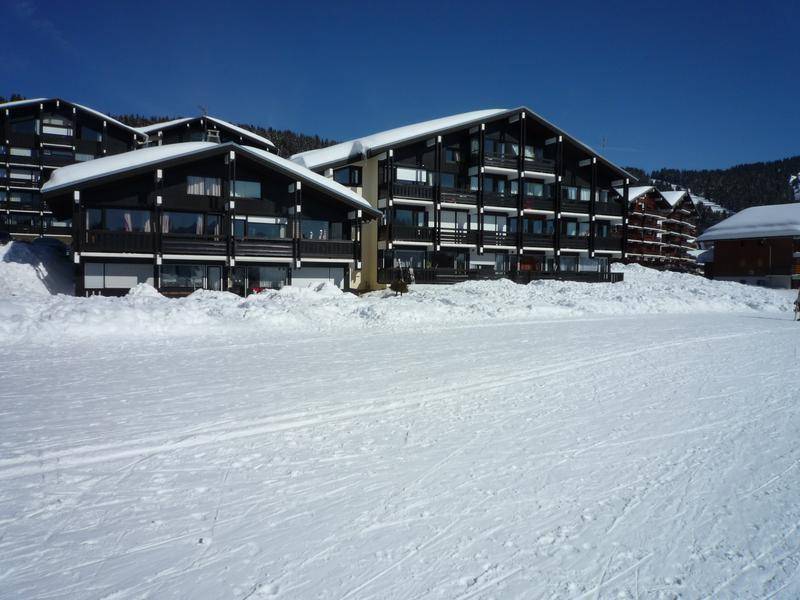 foto3
