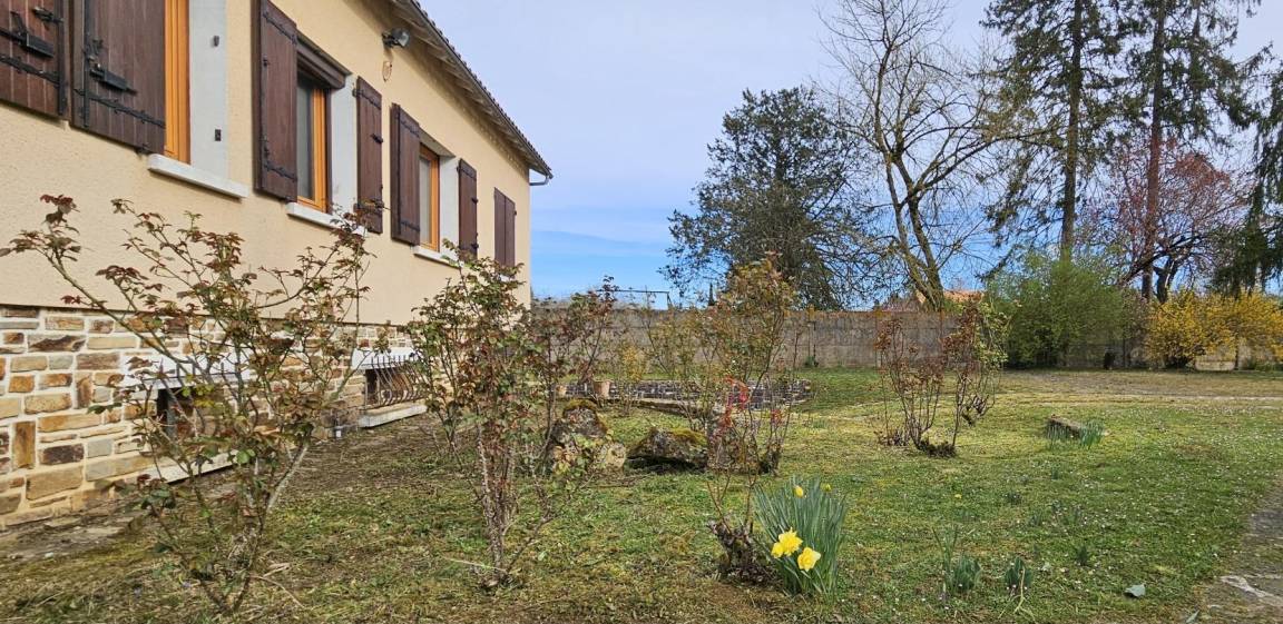 foto4