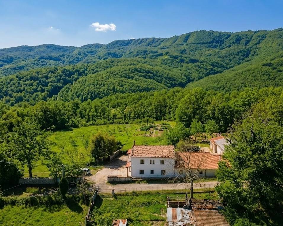 Agriturismo ∙ 1 Camera Da Letto ∙ 4 Ospiti - Cilento