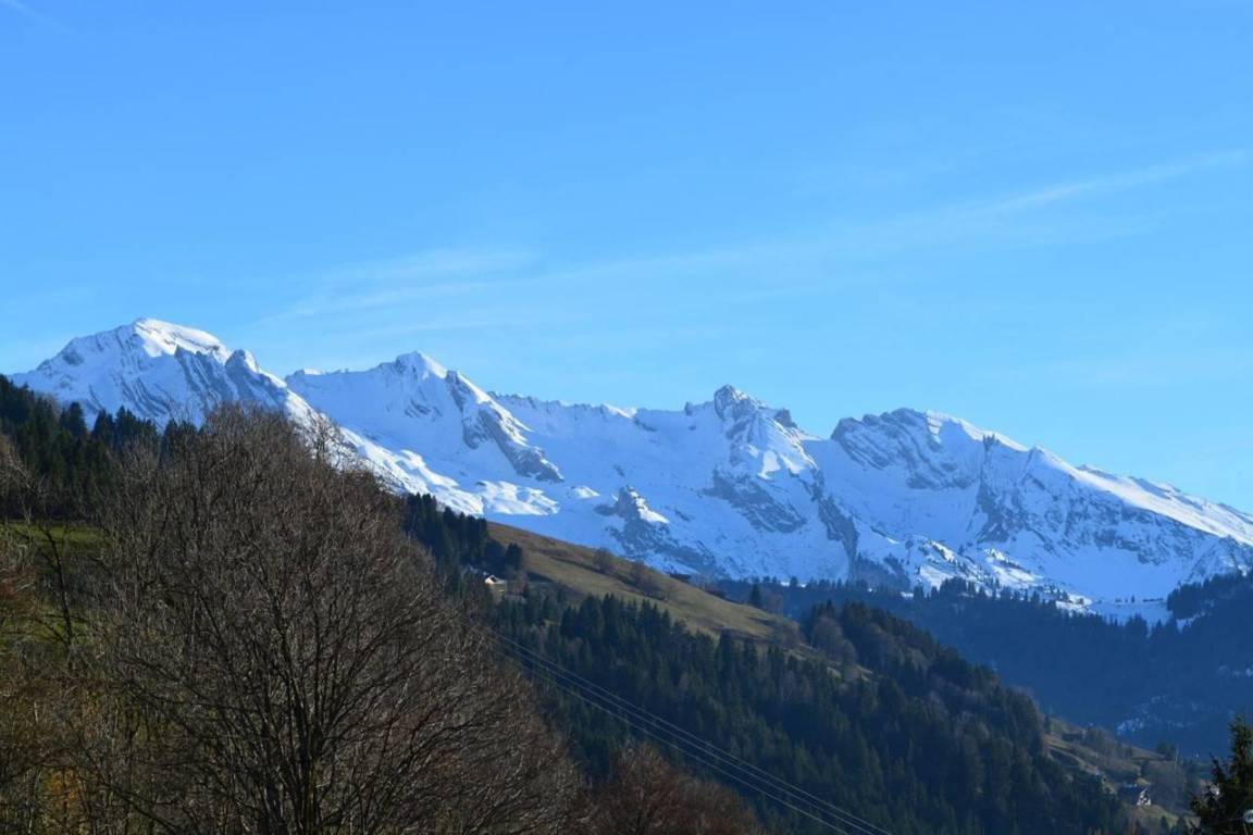 foto17